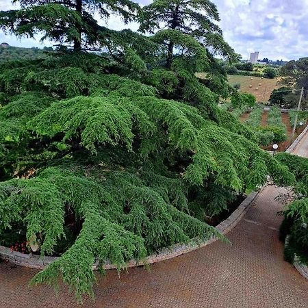 Casina Foggia Dell'Albero Apartment Putignano Bagian luar foto