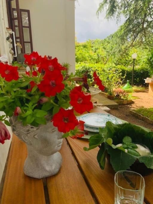 Casina Foggia Dell'Albero Apartment Putignano Bagian luar foto
