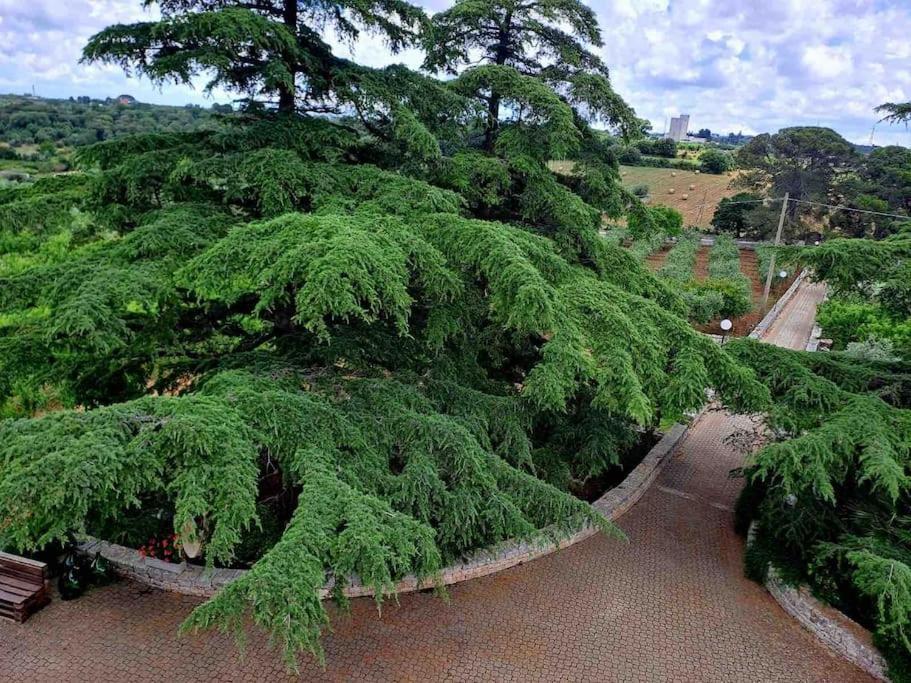 Casina Foggia Dell'Albero Apartment Putignano Bagian luar foto