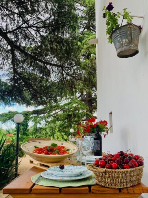 Casina Foggia Dell'Albero Apartment Putignano Bagian luar foto