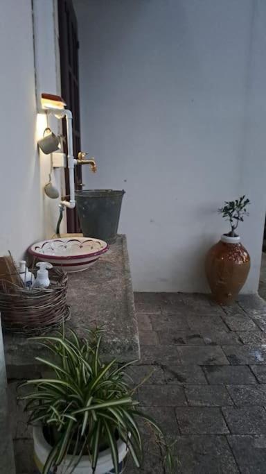 Casina Foggia Dell'Albero Apartment Putignano Bagian luar foto