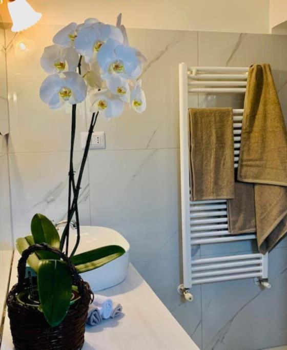 Casina Foggia Dell'Albero Apartment Putignano Bagian luar foto
