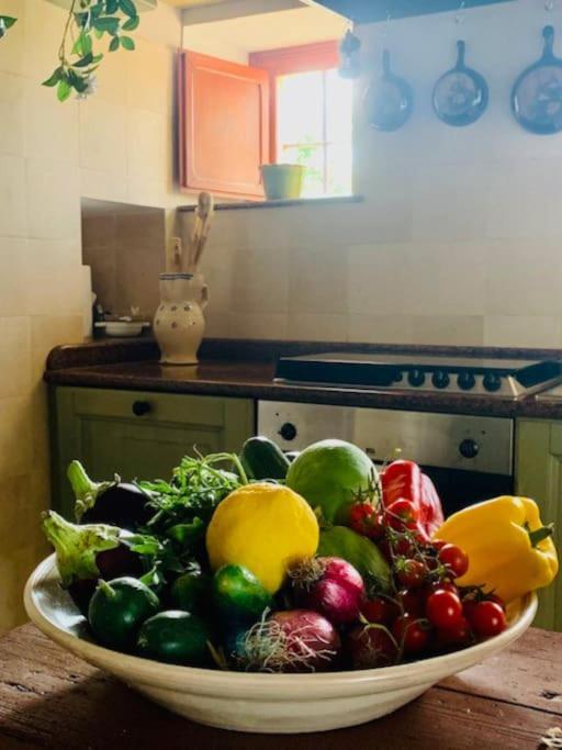 Casina Foggia Dell'Albero Apartment Putignano Bagian luar foto